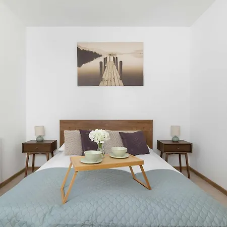 Przestronny Z Miejscem Parkingowym W Katowicach By Renters Apartament *