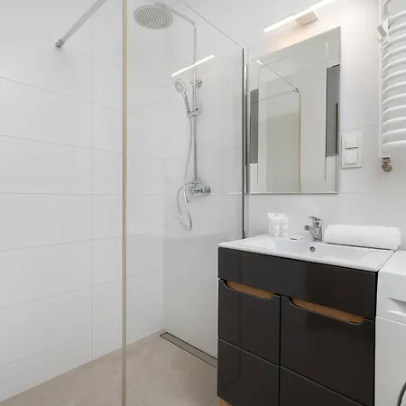 Apartament Przestronny Z Miejscem Parkingowym W Katowicach By Renters